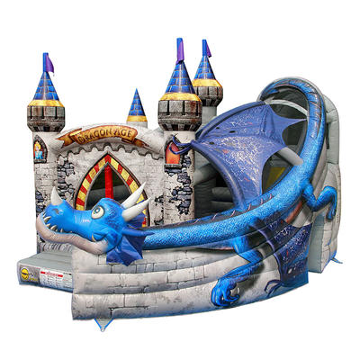 Inflatable Bouncer Rental-1031N Commercial Bouncers Climb and Slide Inflatables